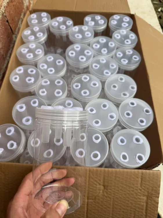定制四孔透明大容量塑料瓶