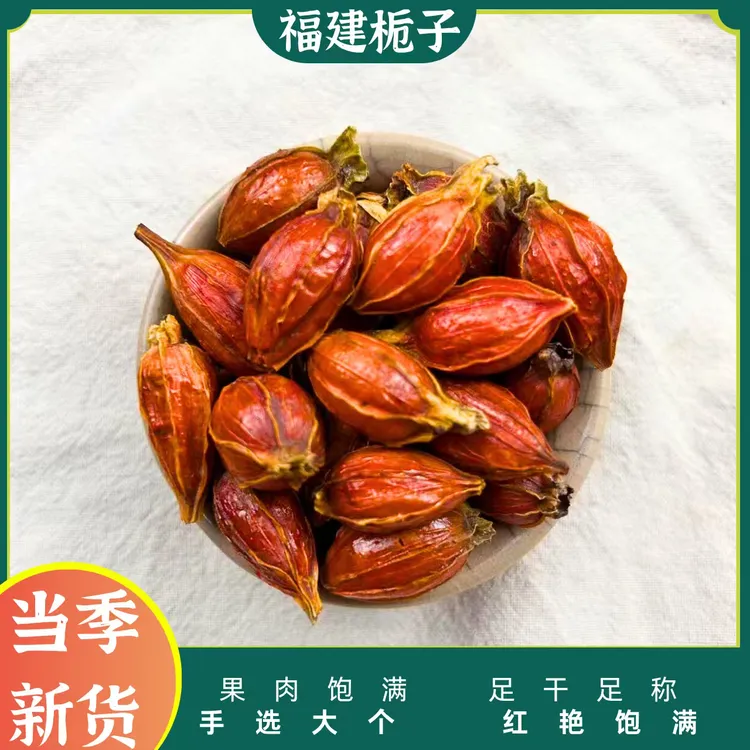 栀子果泡茶食用可上色泡水喝的栀子茶
