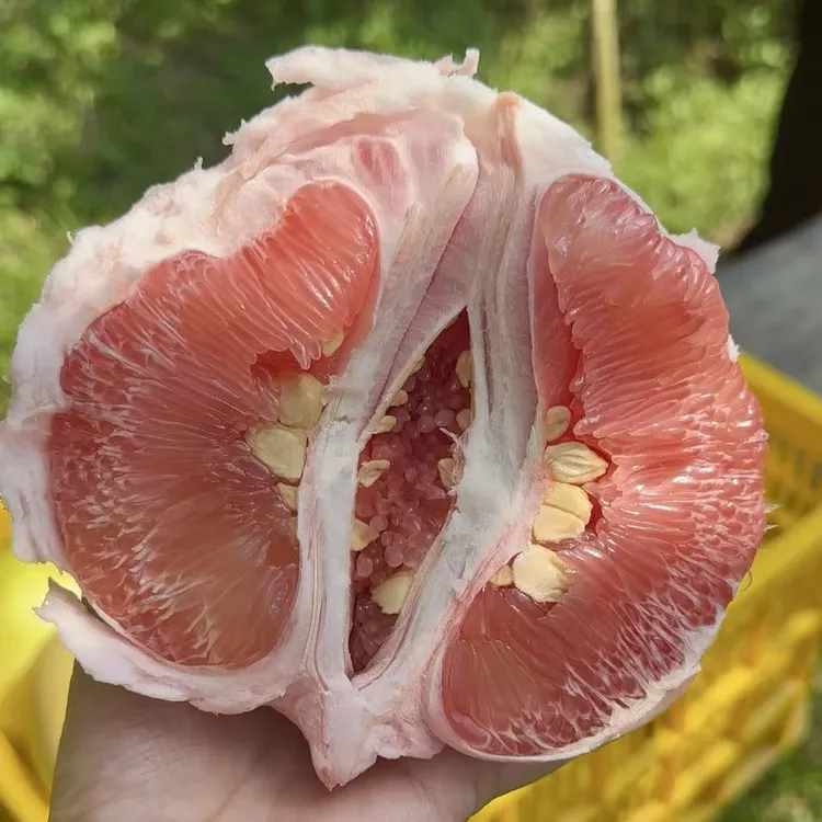 广西容县红心蜜柚白心蜜柚酸甜多汁新鲜果粒浓郁产地直发