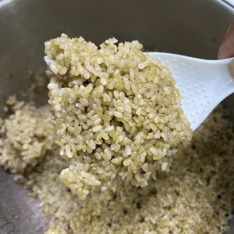 鹿星软糙米（在田里就有少量紫米介意勿拍）（山里妹自种新品种）