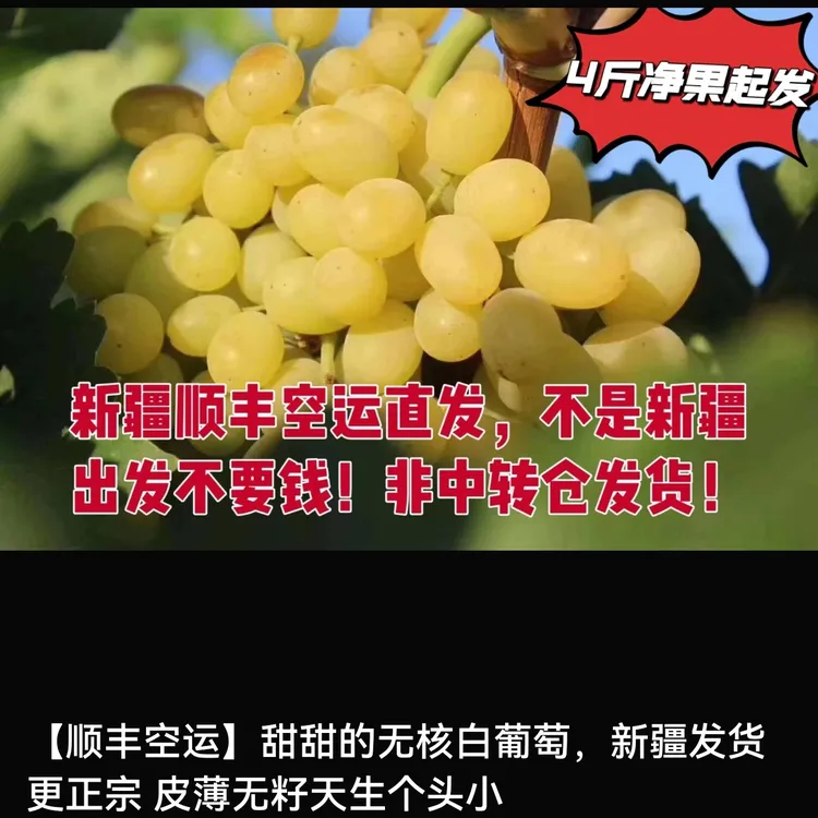 【顺丰空运】新疆吐鲁番正宗无核白葡萄无籽清甜当季新鲜水果