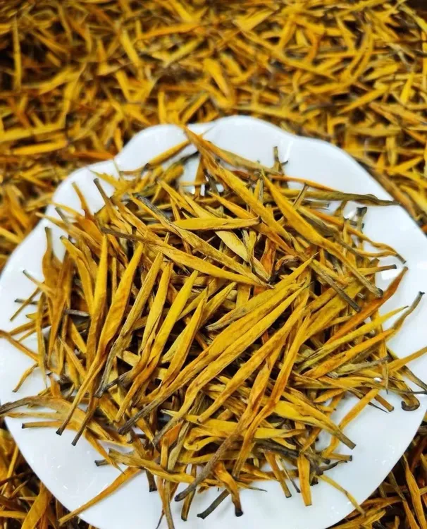 正宗云南凤庆滇红大金针高山古树嫩芽浓香耐泡茶叶