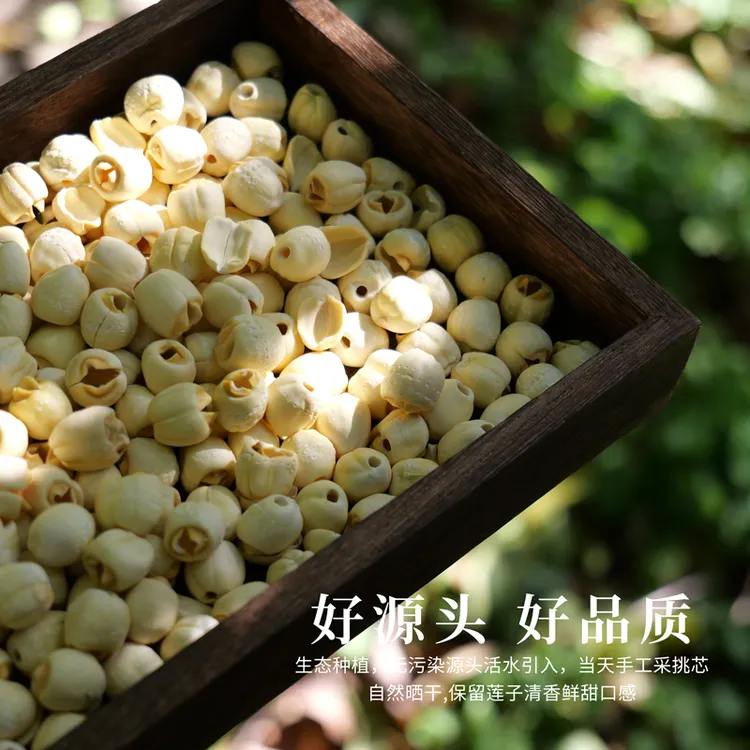 福建建宁通心莲子干货200g/罐软糯饱满香甜可口【大叔】