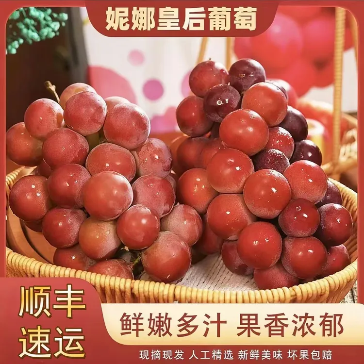 【顺丰/JD】妮娜皇后葡萄红宝石新鲜孕妇水果精品颗粒果5-10盒S6-1