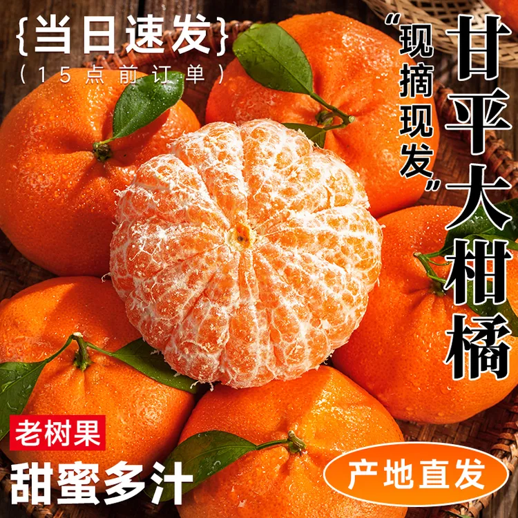 四川甘平皇后柑橘5/8斤正宗采摘水新鲜果香甜皮薄汁水多个大整箱