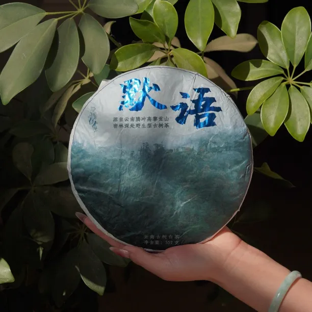 云南腾冲老树老白茶汤色透亮茶香浓郁口粮茶佳品