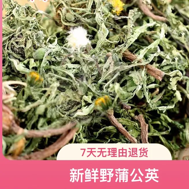 野生蒲公英茶婆婆丁全颗带根干货水洗晒干纯干花茶河南山货