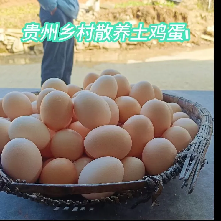 贵州山野村夫散养土鸡蛋