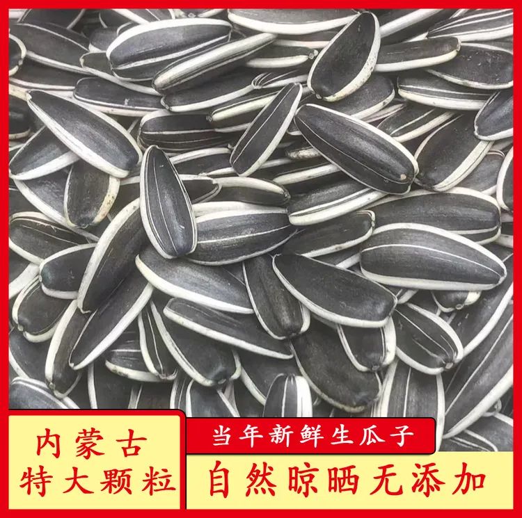 内蒙古原味生瓜子新货大颗粒葵花籽易嗑高炒货零食