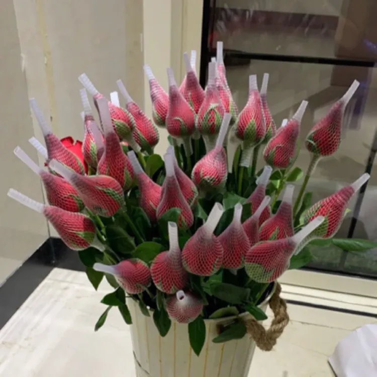 真花玫瑰云南昆明基地鲜花批发家用水养插花花束速递包邮