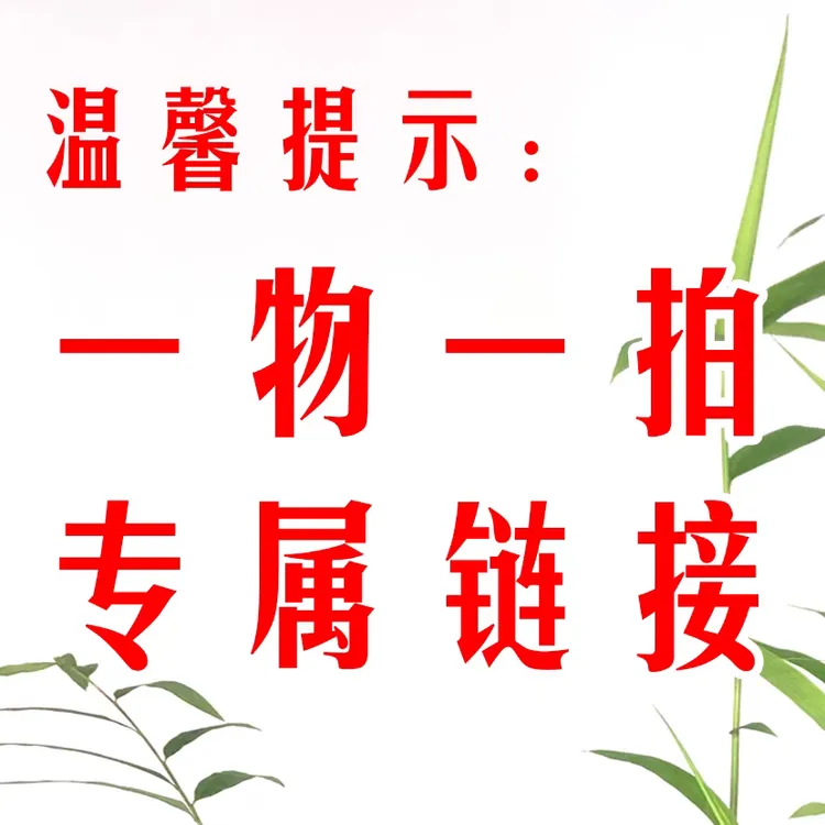 正宗台湾内门竹精品高档竹子盆景盆栽室内高雅茶桌好养禅意造景