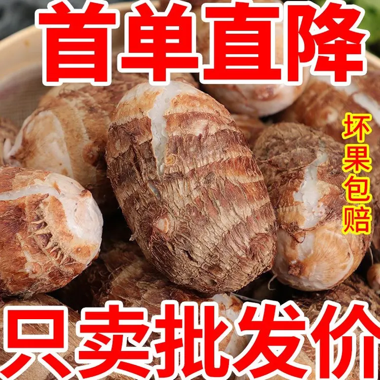 2025年山东新鲜牛奶小芋头毛芋头香芋农家自种奶芋芋仔批发价包邮