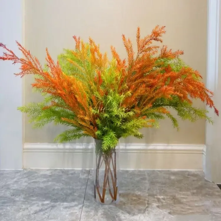 千层金 黄金香柳 （秋天油画色彩鲜艳）  新鲜花材 可水培 可养干花
