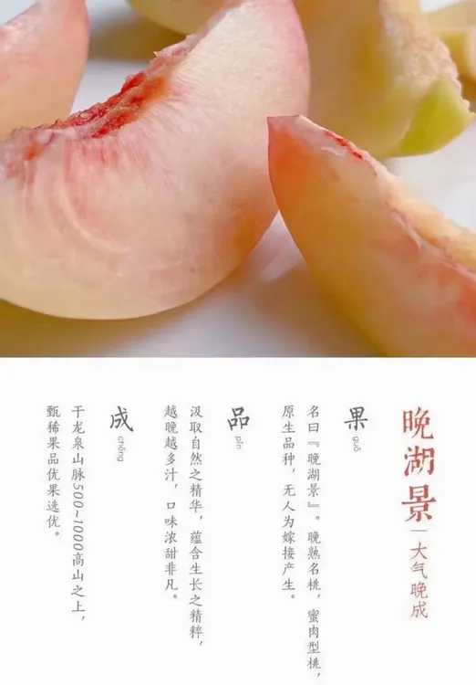 龙泉驿农户直发新鲜现摘水蜜桃甜度极高，果肉细嫩，柔软多汁