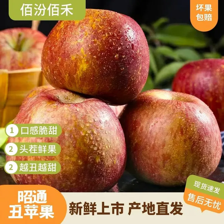 【尹爱和专属】云南新鲜采摘昭通丑苹果4.5-5斤装 脆甜多汁