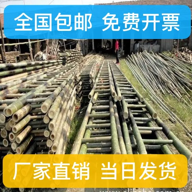 毛竹梯子直梯2米3米4米5米6米7米8米9米工程电力全绝缘幼儿园竹梯