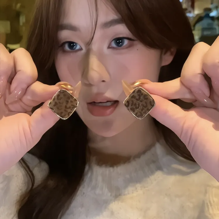 铜合金耳饰 秋冬款豹纹方形几何耳钉女韩版气质百搭耳环2025新款