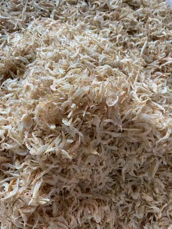 汕尾本港干虾皮海鲜干货适合孕妇小孩宝宝辅食渔民当季生晒淡