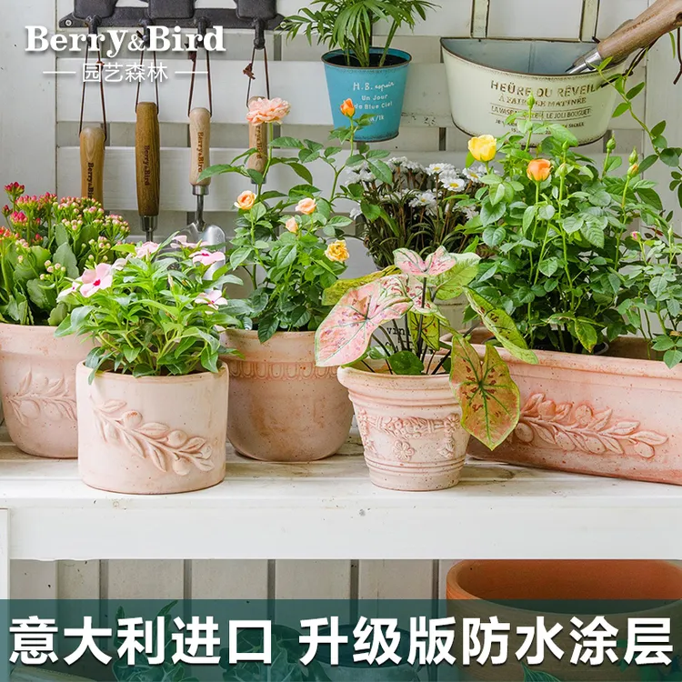 Berry&Bird新款意大利进口园艺手工陶盆硅胶喷淋工艺防水耐用