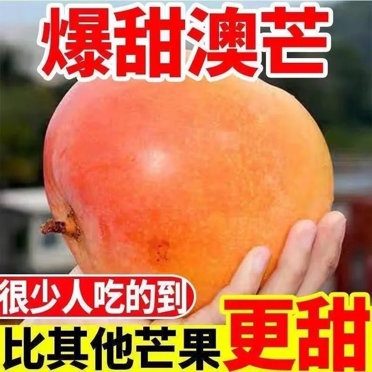 新鲜香甜澳芒苹果芒热带水果应季大芒果彩虹芒整箱批发澳芒