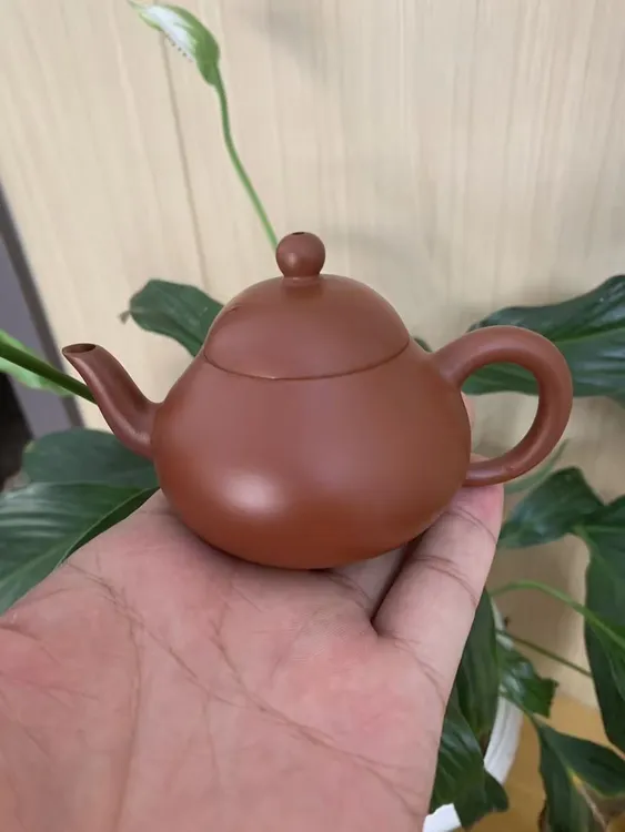 潮汕朱泥梨型手拉壶入门级纯手工小容量泡茶壶