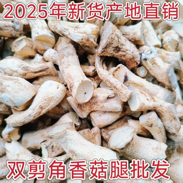 嵩县2025年农家特产双剪香菇脚浓郁鲜香可家用商用食材