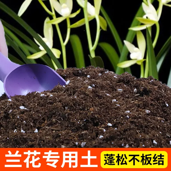 兰花专用营养土兰花专用土疏松透气有机土壤适合盆栽绿植种植兰花
