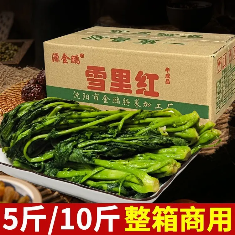 东北雪里红腌菜盐渍商用特产大全农家雪菜绿色新鲜雪里蕻咸菜包邮