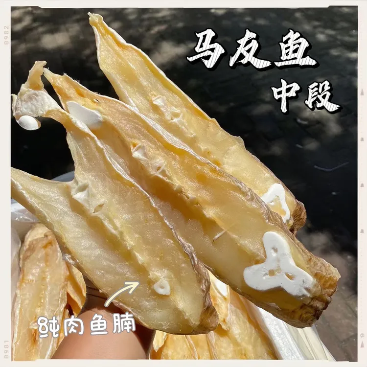 淡干马鲛鱼片马友鱼干中段鱼腩肉质优质风干淡晒鱼干