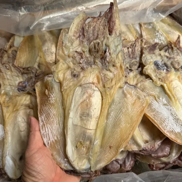东山岛特大号新晒淡晒墨鱼干可煲汤食用的海鲜干货