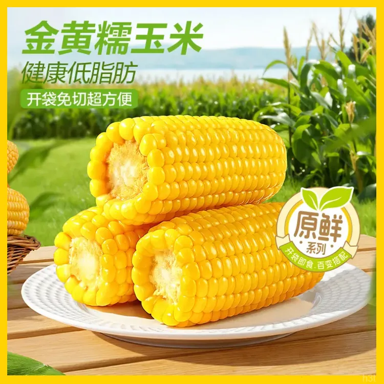 【试吃2段】十月头茬稻田黄金8cm糯玉米段甜玉米即食夜宵糯甜