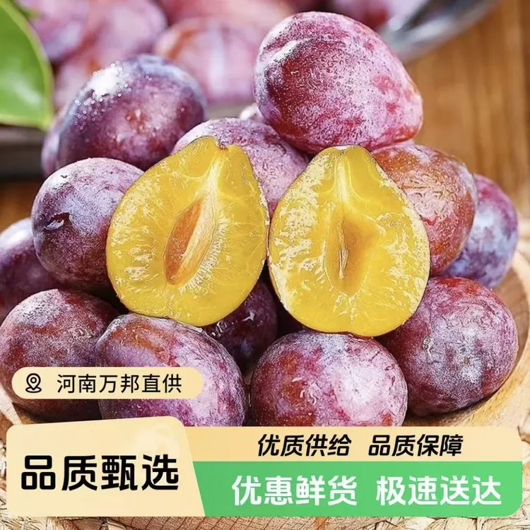 【顺丰包邮】新疆伽师法兰西西梅水果鲜甜多汁产地直采