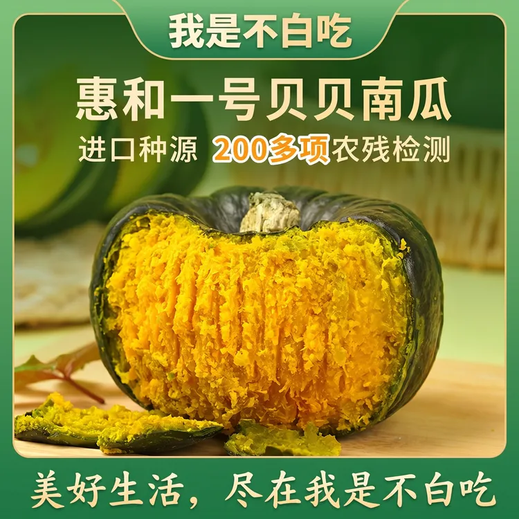 【惠和一号】我是不白吃正宗贝贝南瓜板栗味进口种源专业种植坏包赔