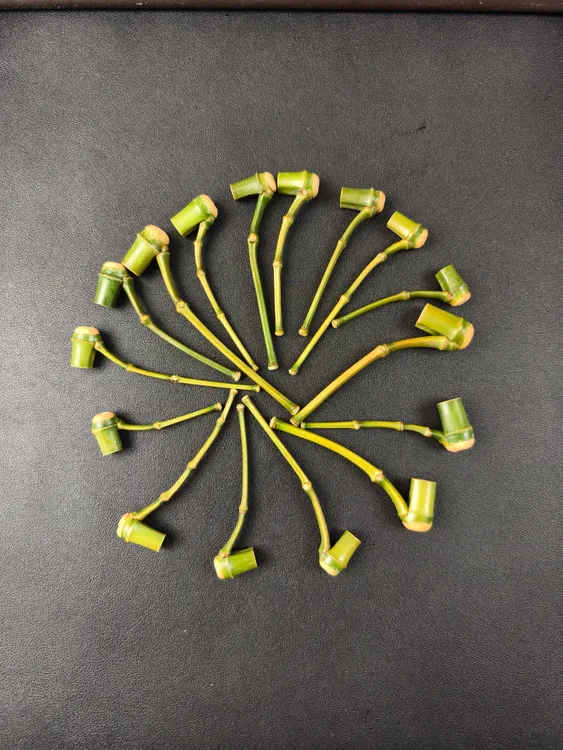 天然一体小竹子手工斗 