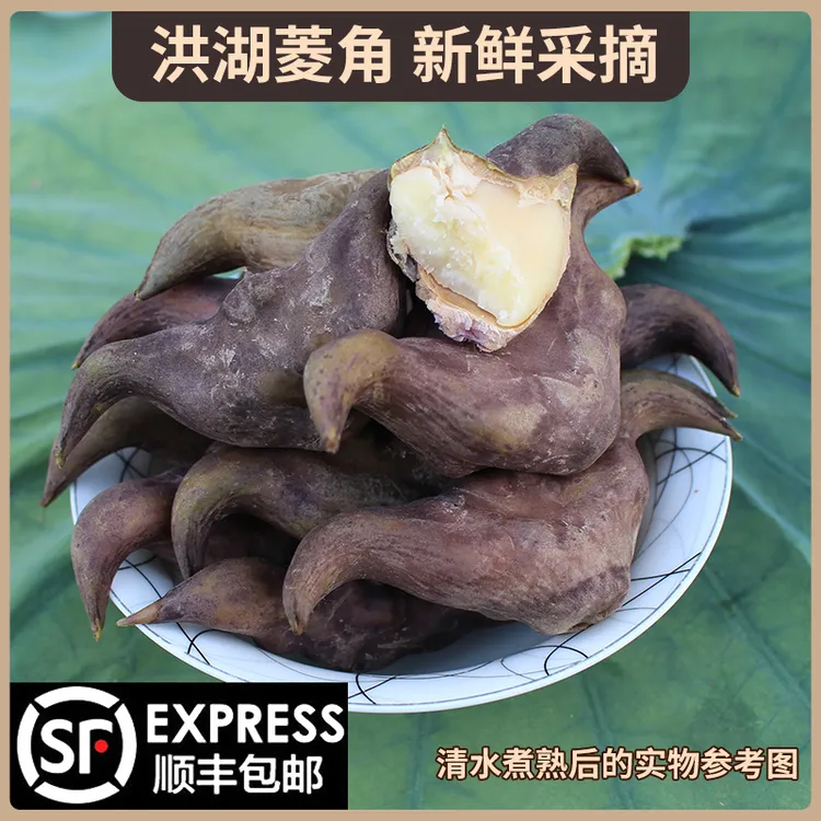 新鲜老菱角3斤/5斤可煮熟粉糯香甜现摘洪湖新鲜菱角顺丰包邮