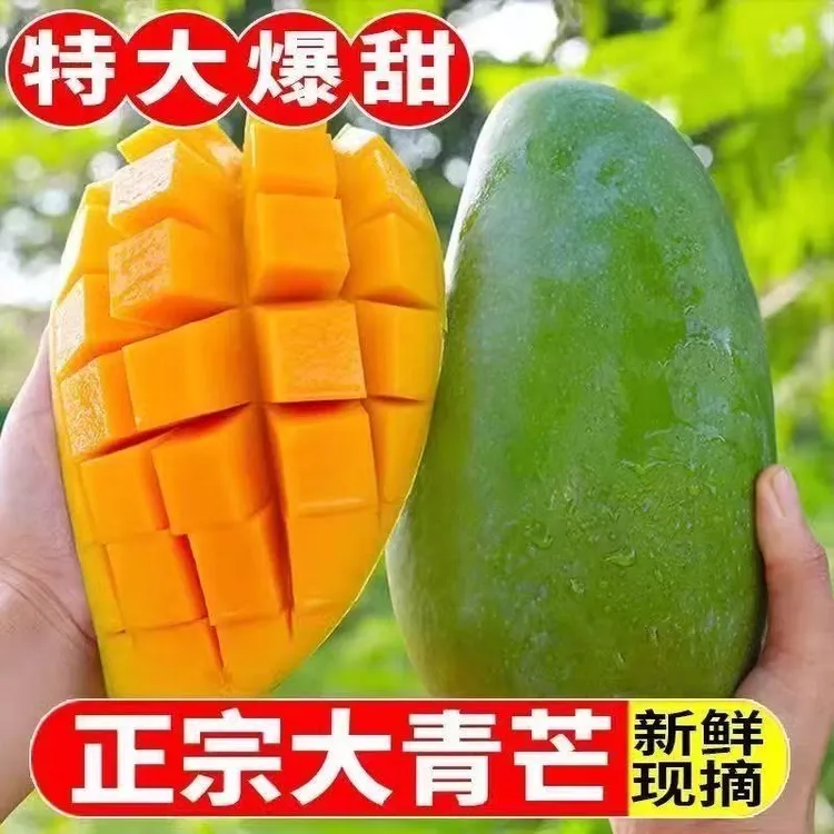 正宗越南大青芒新鲜采摘核薄肉厚香甜多汁!!(到了即食）