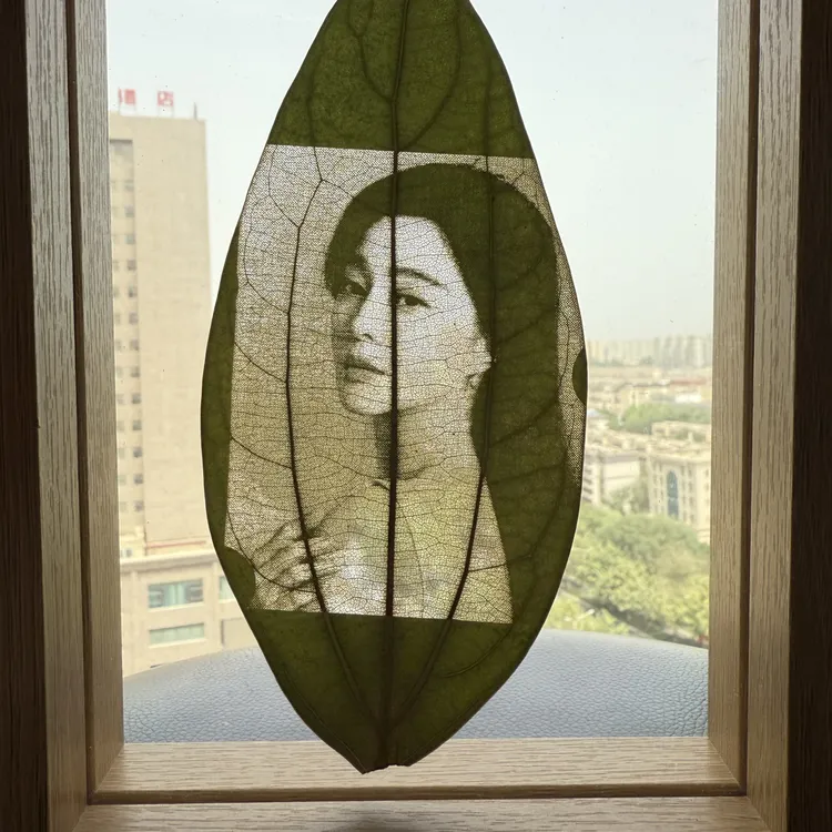 叶片雕刻，过塑加相框.