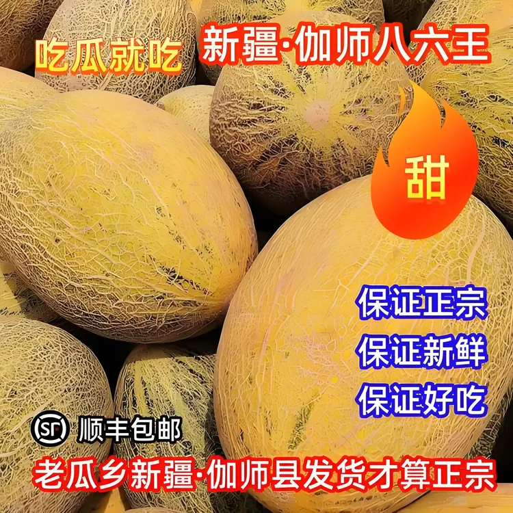 新疆特产-哈密瓜之王-伽师瓜