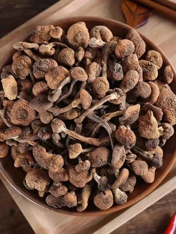 东北长白山野生榛蘑干货精心挑选适合小鸡炖蘑菇