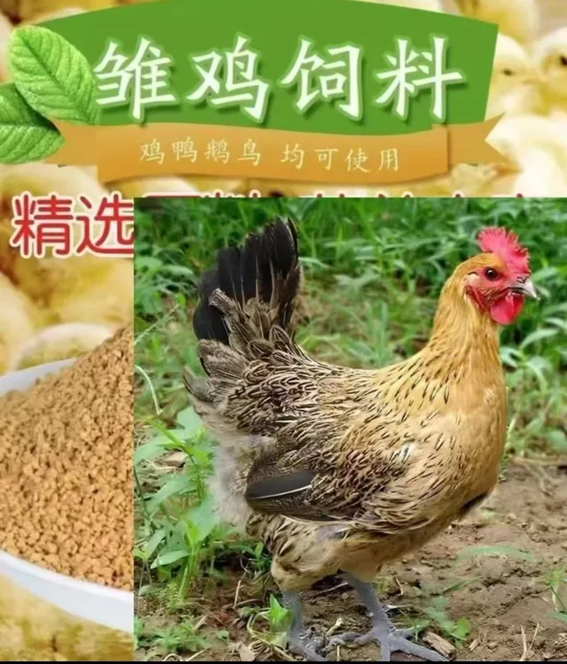 【麻羽】畜牧营养均衡适应性强饲料好喂养