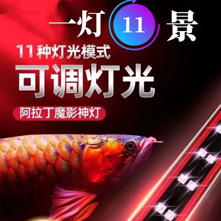 龙鱼鱼缸潜水灯变色LED水草灯七彩照明水族箱造景灯龙鱼防水灯管
