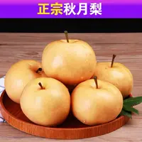 【礼盒推荐】正宗秋月梨山东特产梨应季新鲜水果山东省