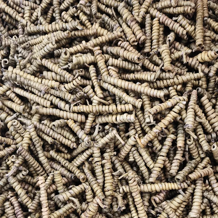 霍山工艺铁皮石斛龙头凤尾可煲汤泡茶滋补养生化渣有草香味