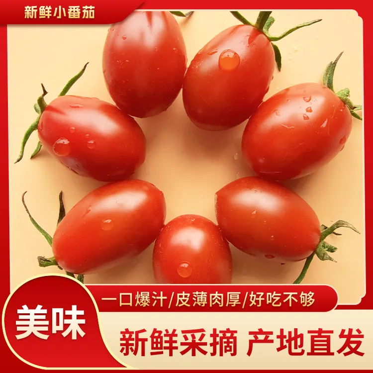 【京东速运】崇明生态摩天农场小番茄酸甜爽口多汁自然成熟新鲜采摘