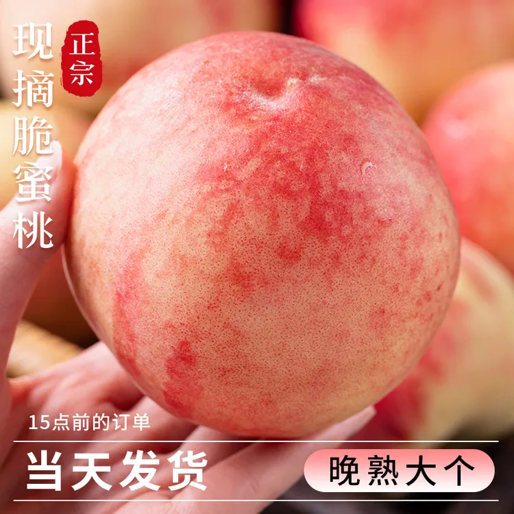 砀山突围脆蜜桃大桃新鲜桃子水果现摘当季香甜毛桃孕妇整箱鲜果