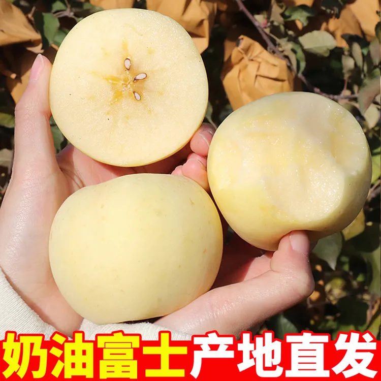 山东奶油苹果4.5斤脆甜多汁新鲜水果应季烟台苹果现摘当季富士