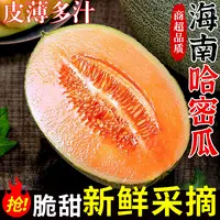 【海南直发】海南头茬哈密瓜净重4.5-5斤 单果1000g+ 2枚装坏果包赔