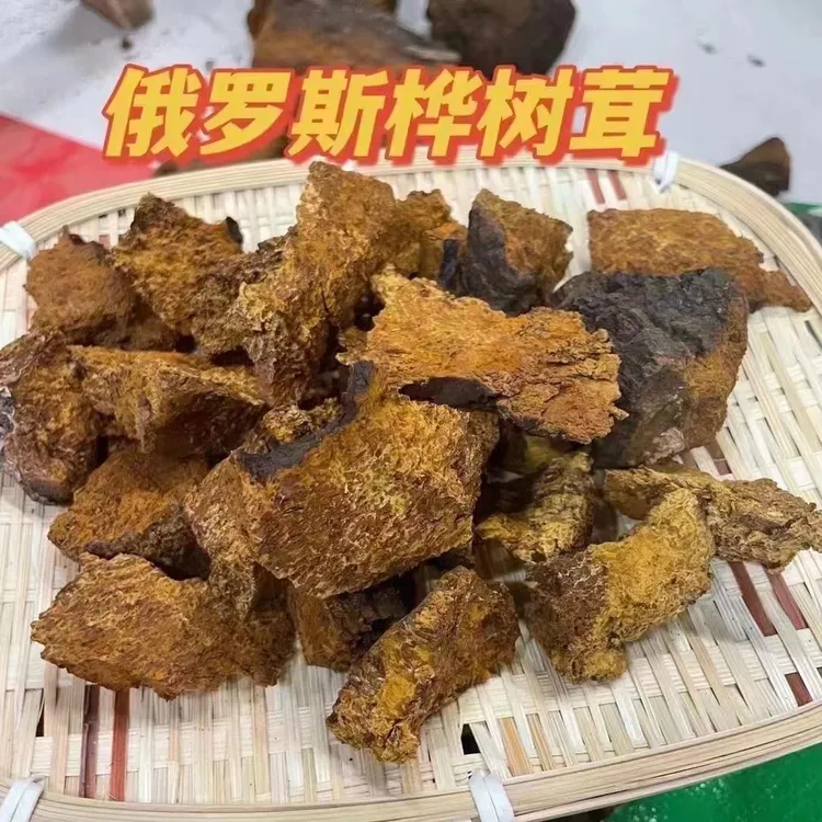 桦树茸白桦茸真菌可泡水食用