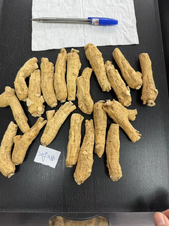 1.4~1.6Cm西洋参片 加拿大进口西洋参 洋参 直播间手工切 参味好