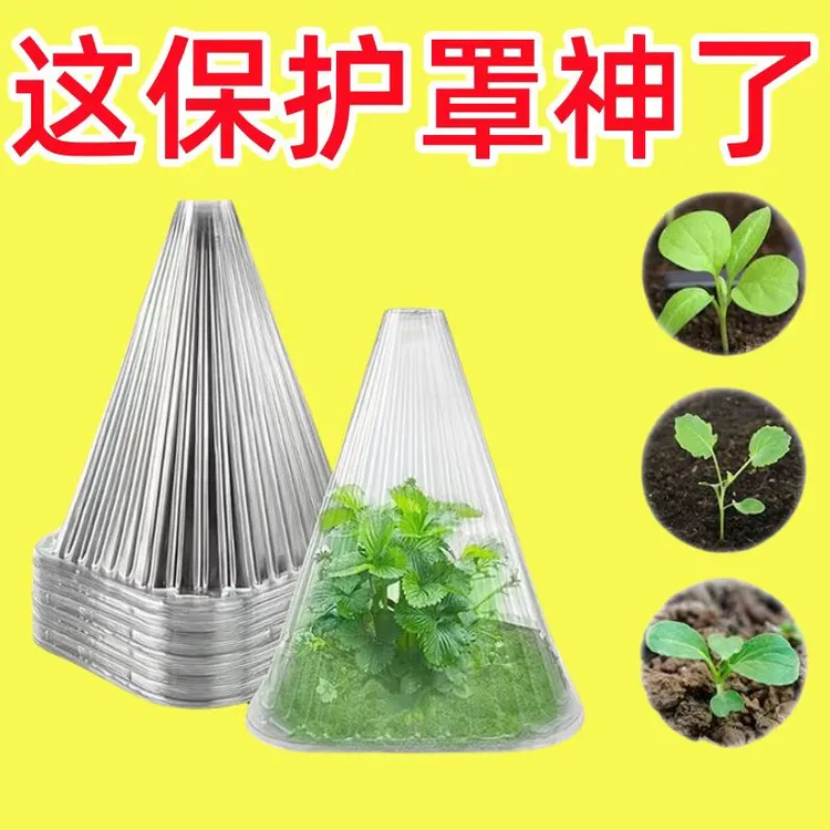 重复使用加厚方形植物钟罩免受鸟类霜冻伤害绿色育苗保护钟罩防鸟